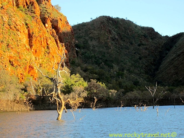 Lake_Argyle_Trees_sticking_out