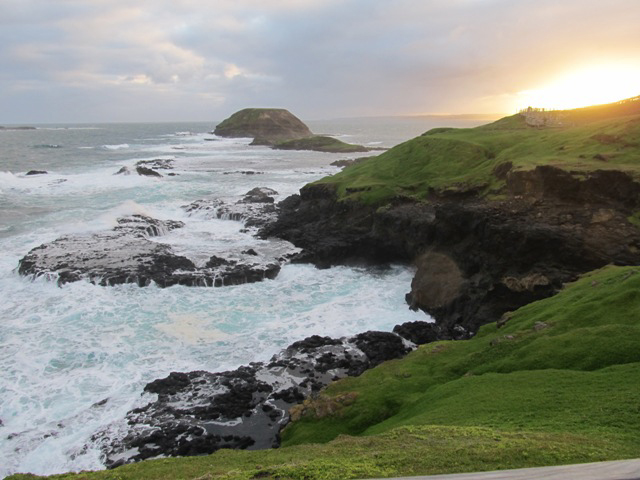 The Nobbies, Philipp Island the_nobbies