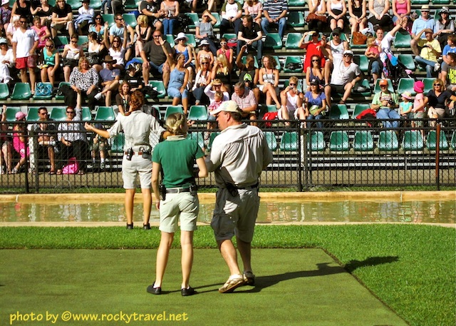 The Australia Zoo Wildlife Warriors Show Australiazoocrocshow