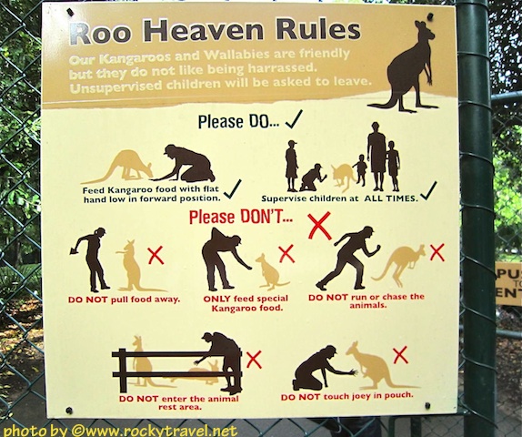 Roo Heaven Rules at Australia Zoo roosheavenrules