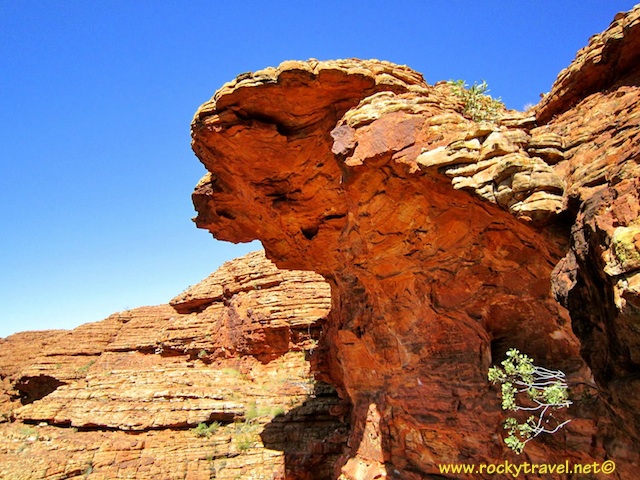 Why Visit Kings Canyon 