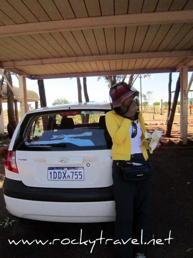 Break on the way to Uluru breakerldundawayback
